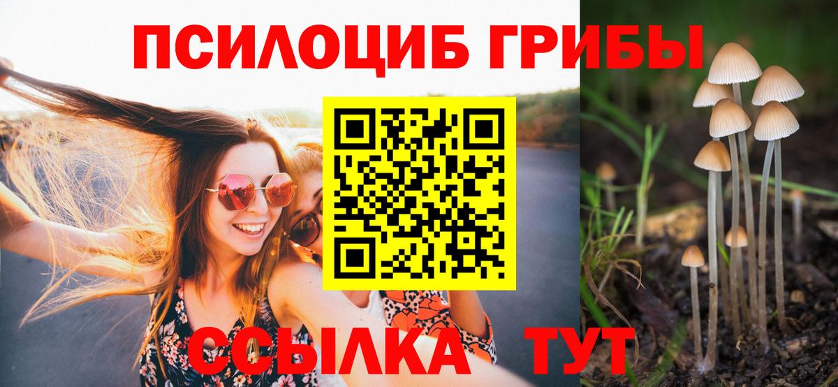 Галлюциногенные грибы GOLDEN TEACHER Павлово