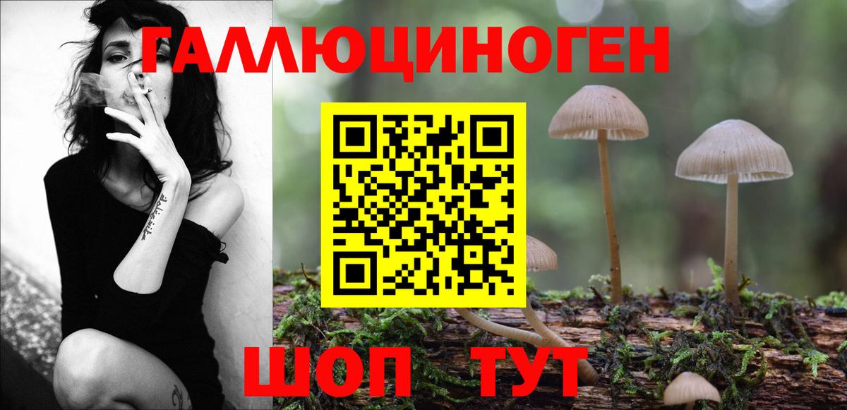 Галлюциногенные грибы Cubensis  Псилоцибиновые грибы прущие грибы  наркошоп  Павлово  Вход с VPN 